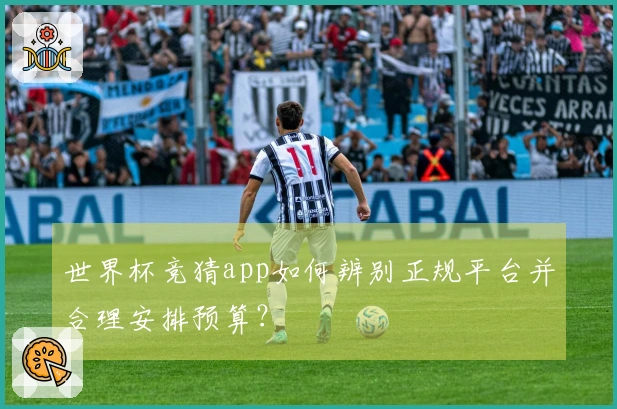 世界杯竞猜app如何辨别正规平台并合理安排预算?
